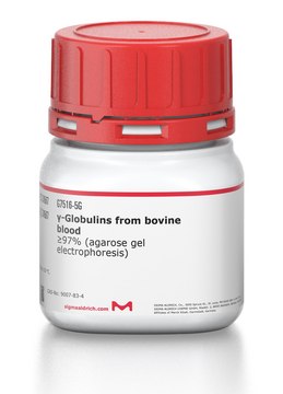 ?-Globulins from bovine blood
