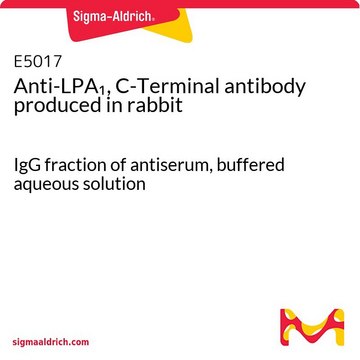 Anti-LPA?, C-Terminal antibody produced in