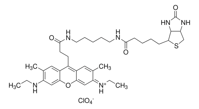 Atto 520-Biotin