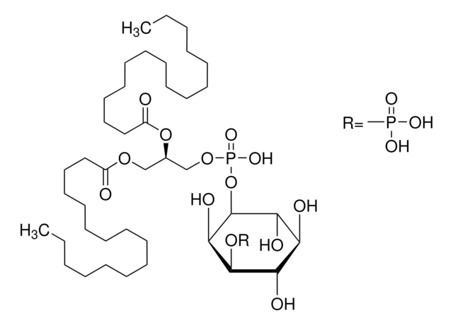 ?-?-Phosphatidyl-?-myo-inositol 3-monophosphate, dipalmitoyl