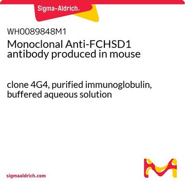 Monoclonal Anti-FCHSD1 antibody produced in