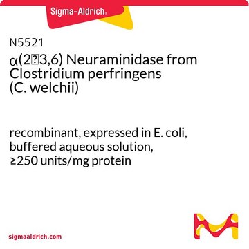 ?(2?3,6) Neuraminidase from Clostridium perfringens