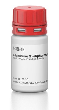 Adenosine 5?-diphosphate bis(cyclohexylammonium) salt