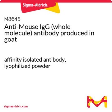 Anti-Mouse IgG (whole molecule) antibody