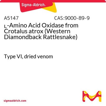 ?-Amino Acid Oxidase from Crotalus