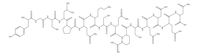 Myelin Basic Protein Guinea Pig
