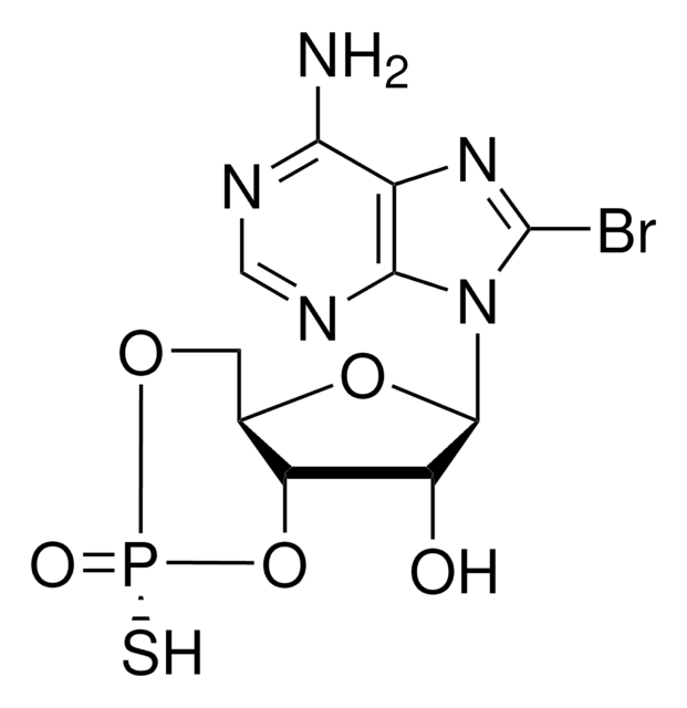 8-Bromo-2?-monobutyryladenosine-3?,5?-cyclic monophosphorothioate, Rp-isomer