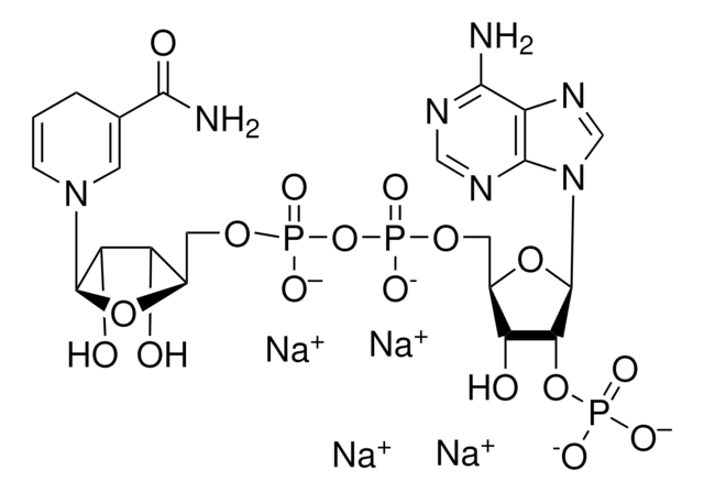 ?-Nicotinamide adenine dinucleotide 2?-phosphate reduced