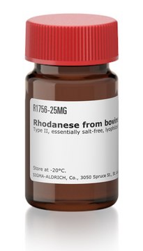 Rhodanese from bovine liver