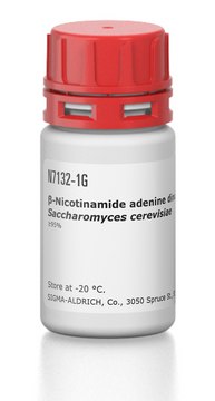 ?-Nicotinamide adenine dinucleotide lithium salt