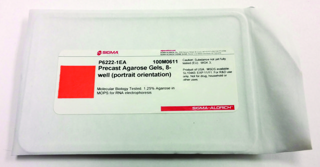 Precast Agarose Gels