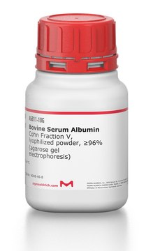 Bovine Serum Albumin
