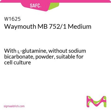 Waymouth MB 752/1 Medium