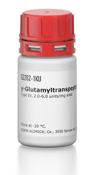 ?-Glutamyltranspeptidase from porcine kidney