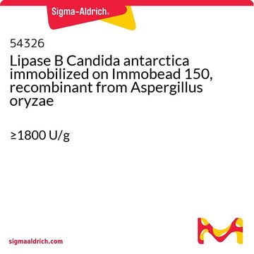 Lipase B Candida antarctica immobilized