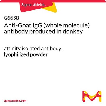 Anti-Goat IgG (whole molecule) antibody