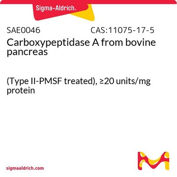 Carboxypeptidase A from bovine pancreas