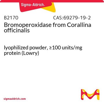 Bromoperoxidase from Corallina officinalis