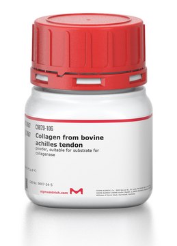 Collagen from bovine achilles tendon