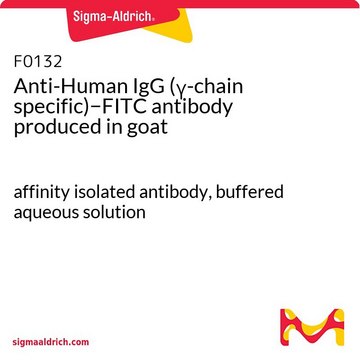 Anti-Human IgG (?-chain specific)?FITC antibody