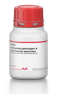 ?-Chymotrypsinogen A from bovine pancreas