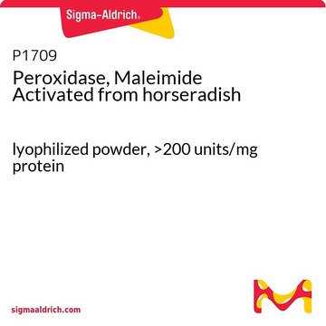 Peroxidase, Maleimide Activated from horseradish