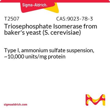 Triosephosphate Isomerase from baker’s yeast