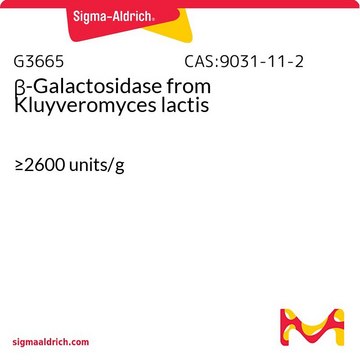 ?-Galactosidase from Kluyveromyces lactis