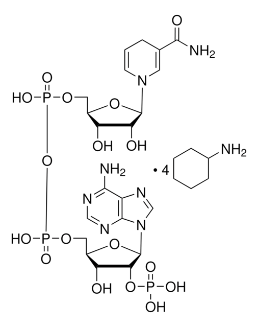 ?-Nicotinamide adenine dinucleotide phosphate, reduced